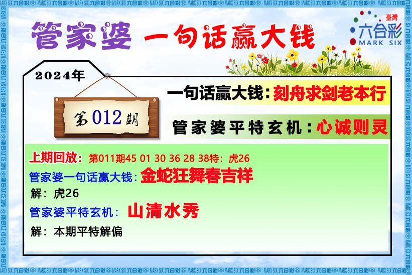 管家婆的资料一肖中特176期-精选解释解析落实