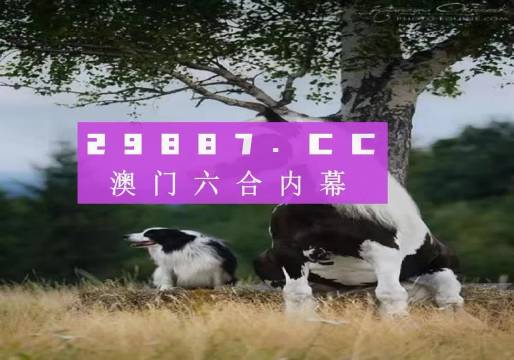 澳门今晚必开一肖一特-准确资料解释落实